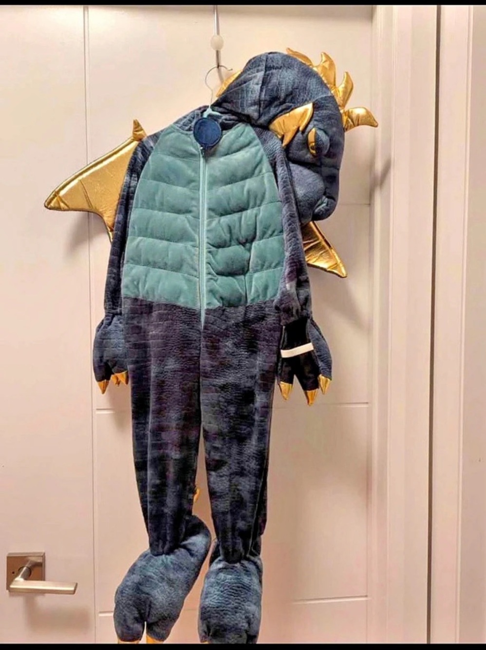 Fierce Dragon Costume Black & Green